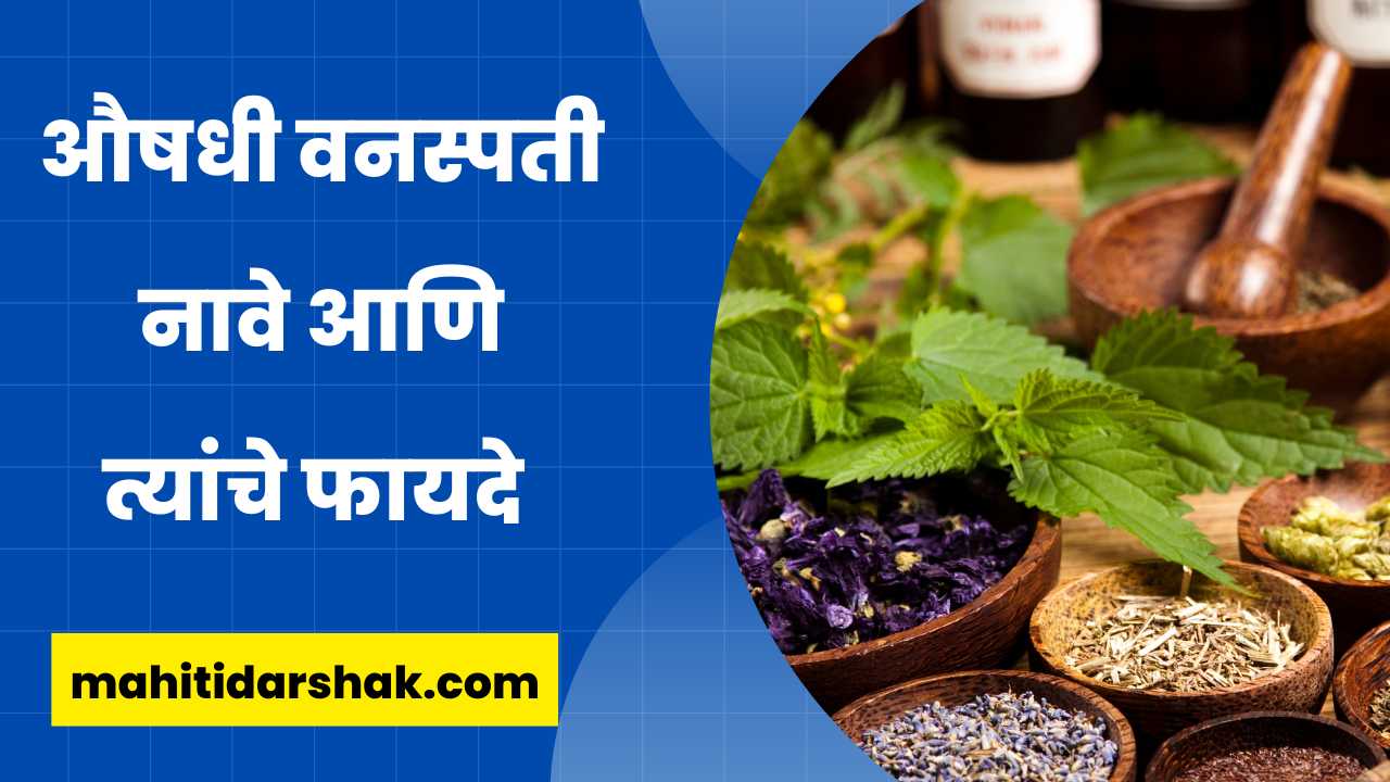 औषधी वनस्पती नावे आणि त्यांचे फायदे Names of Herbs in Marathi