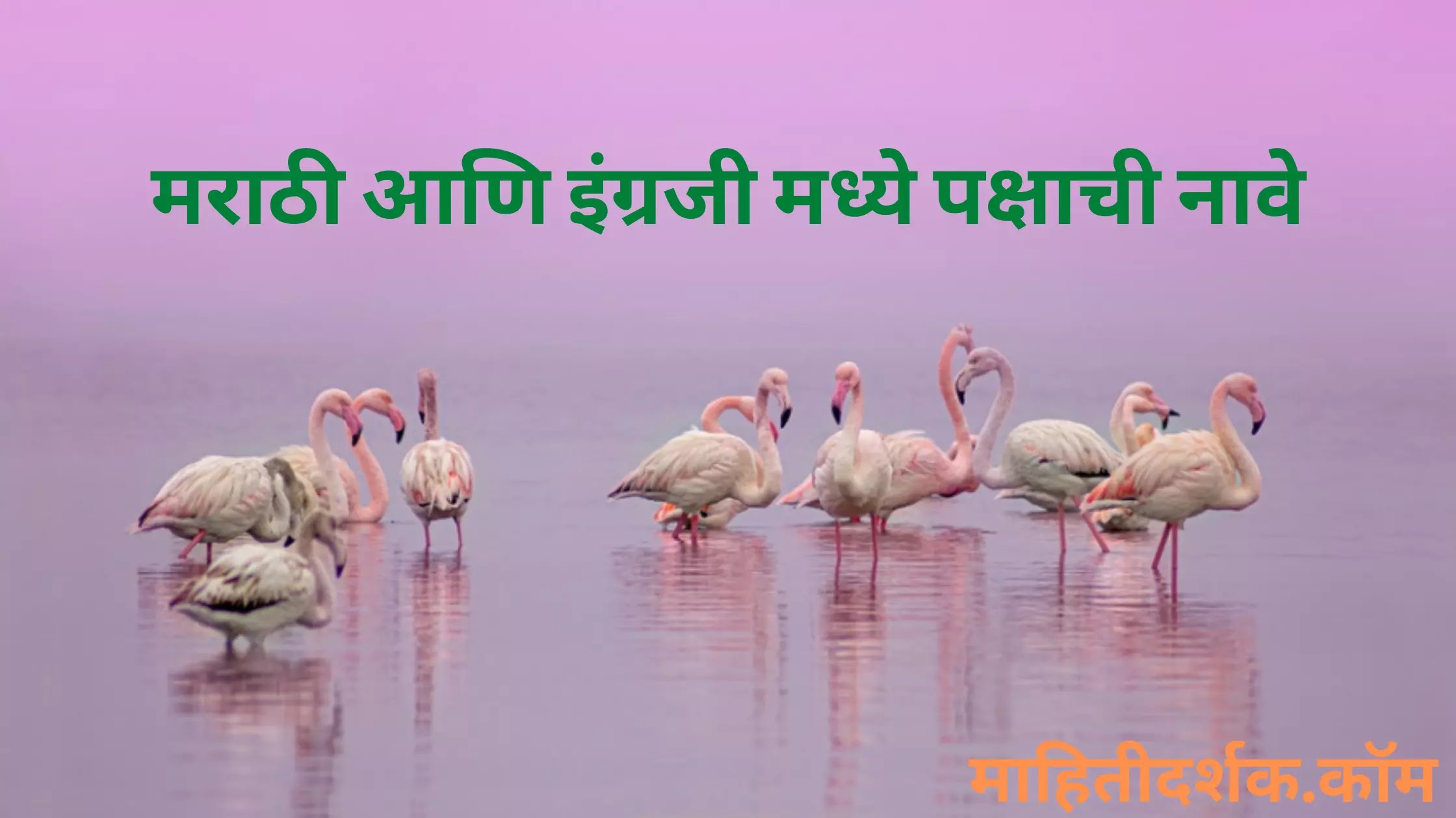 पक्ष्यांची नावे मराठी | Names of Birds in Marathi