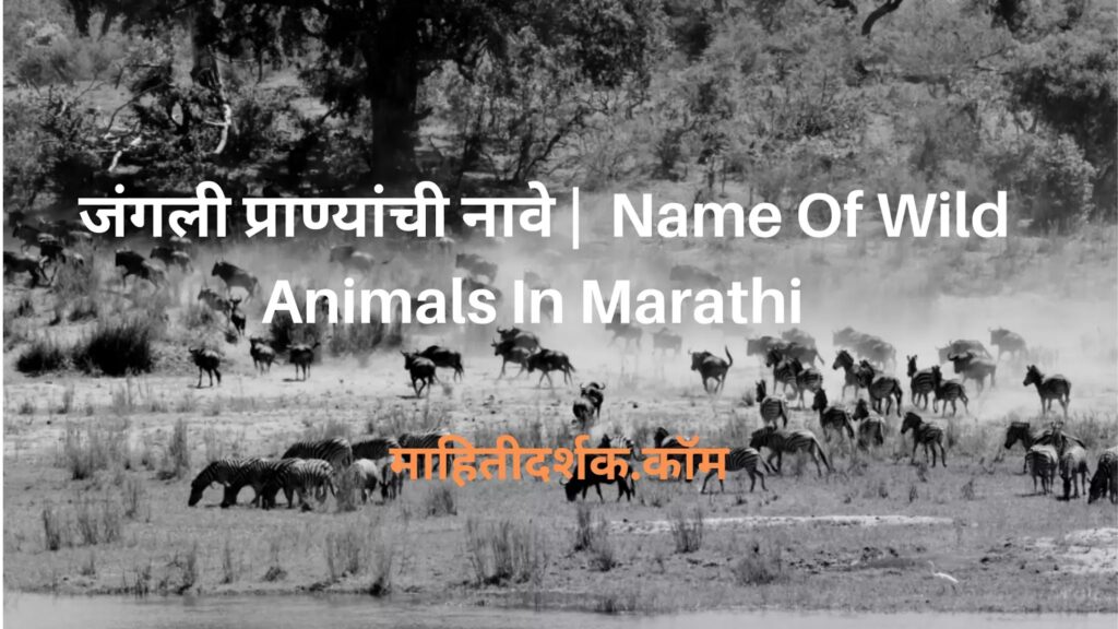 Wild Animals In Marathi