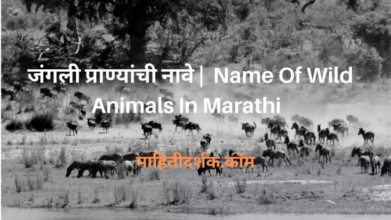 Name Of Wild Animals In Marathi