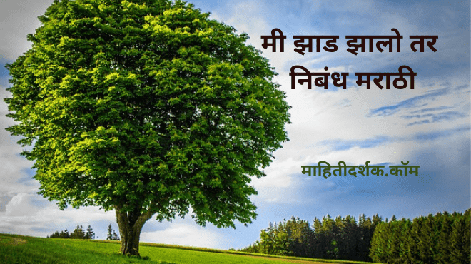 If I Become a Tree Essay in Marathi