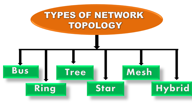 Types of Network Topology in Marathi